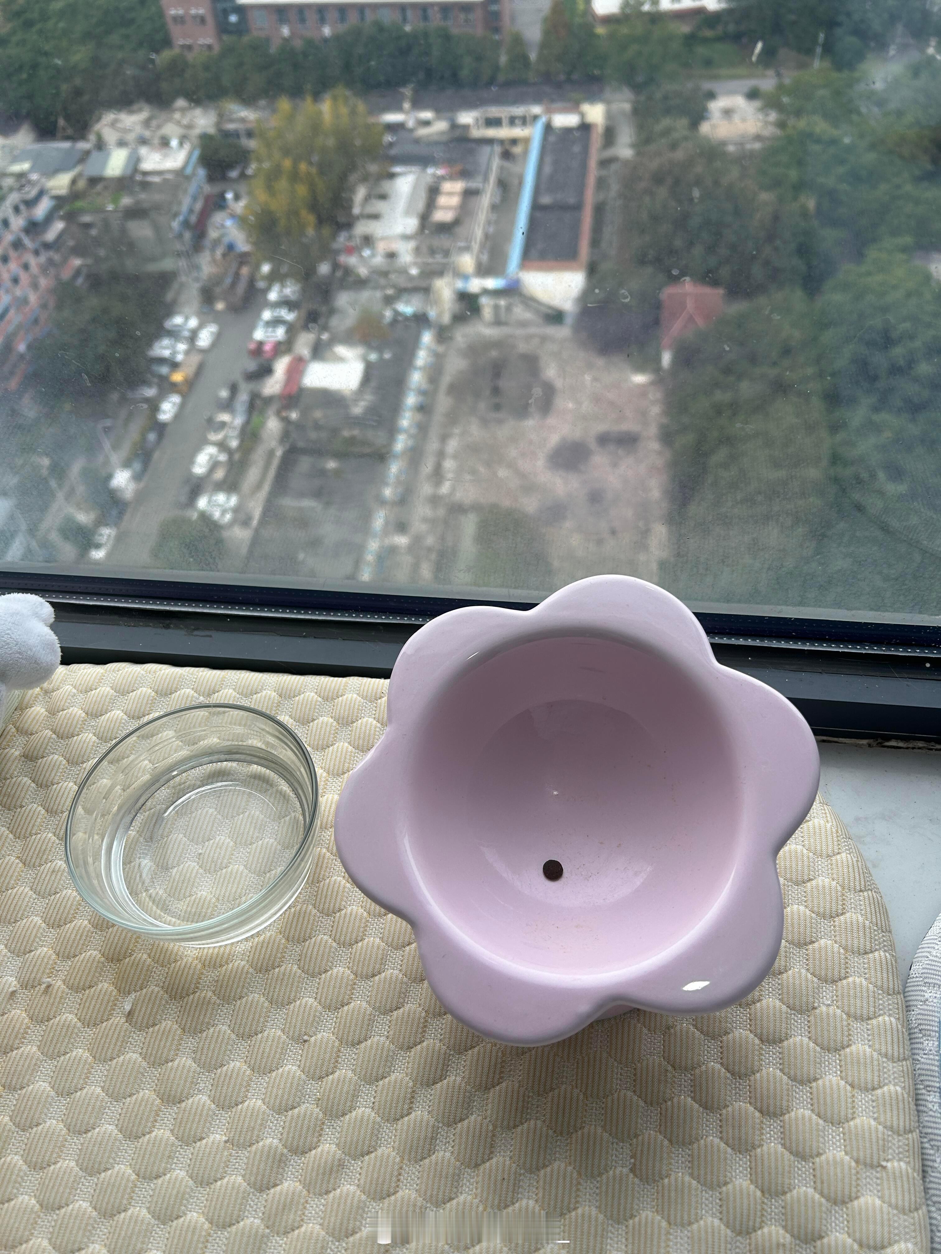 老是剩一粒猫粮是什么意思 