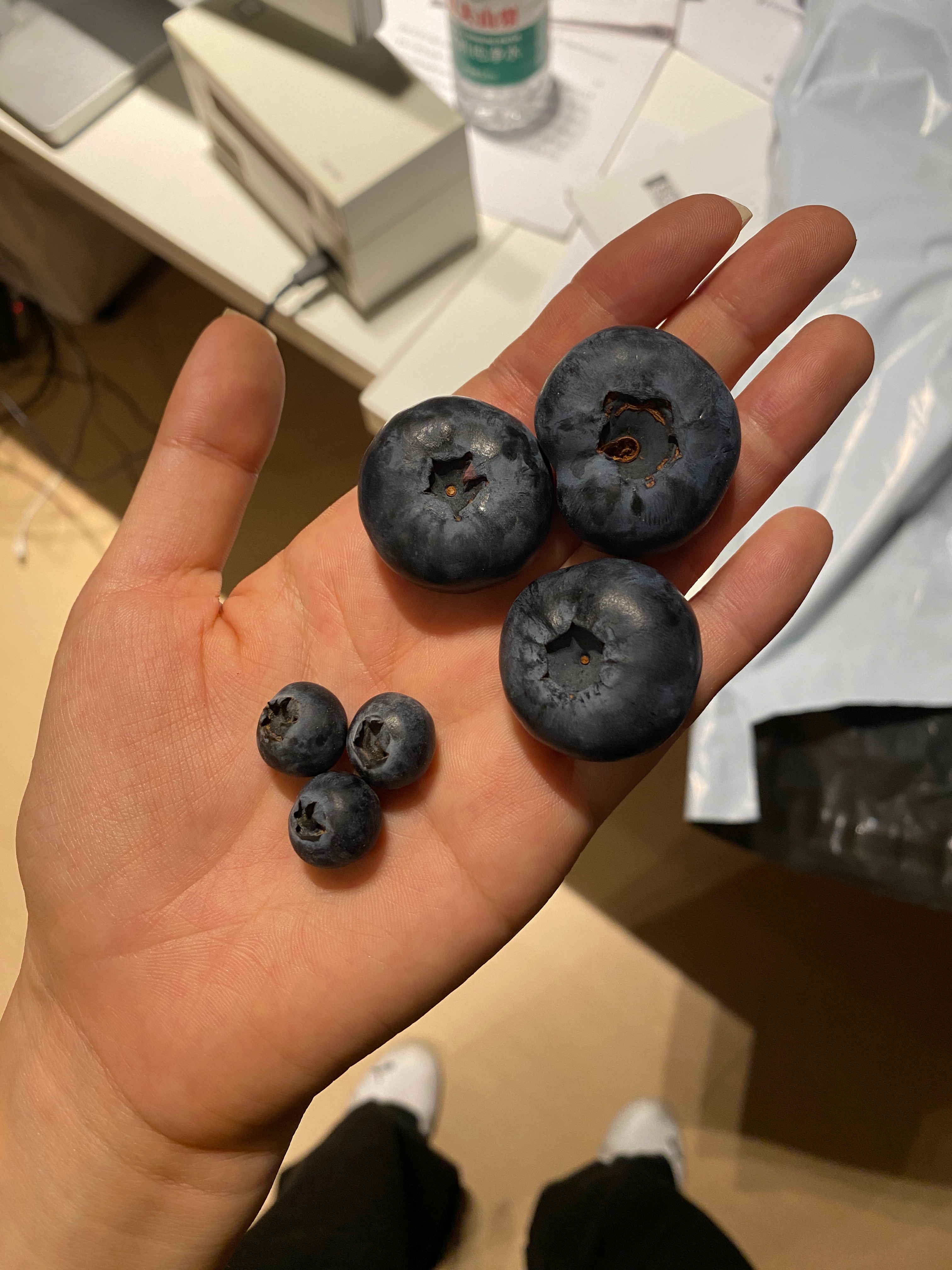 买到了无敌震撼大的蓝莓，这是真实的吗，旁边是正常尺寸的蓝莓 
