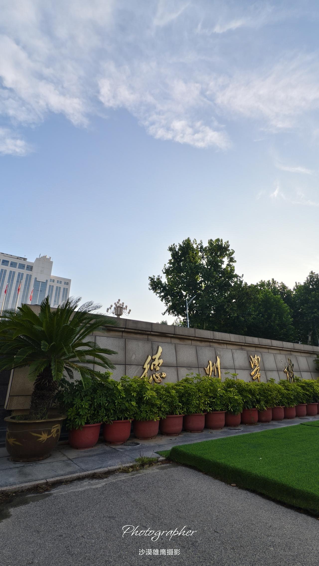 德州学院，德州市最高学府，鲁西北高等教育的璀璨明珠！自1971年建校以来，她根植