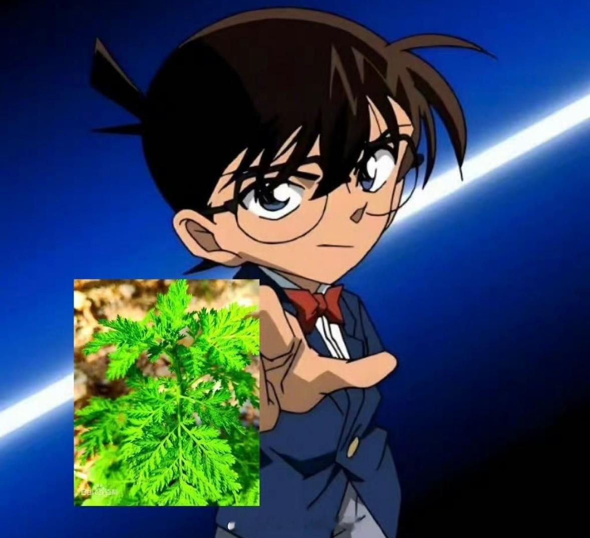花粉过敏的源头竟然不是花 「秋季过敏」最大的受害者出现了！除了广大过敏星人，还有