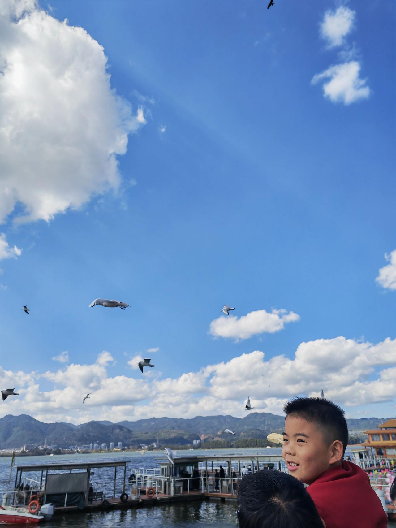 海埂大坝喂海鸥