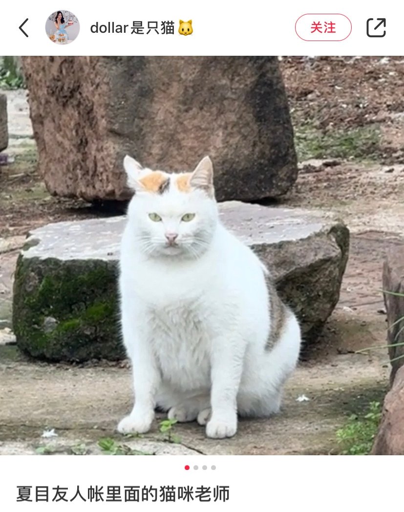 夏目友人帐里面的猫咪老师 