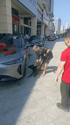 买辆新车是件高兴的事，但是诸如杀鸡（狗）祭车，总不是一件令人高兴的事情。因为，一