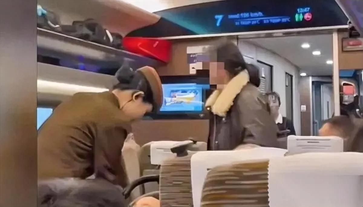 高铁遇奇葩！女子堵过道

她竟把婴儿车扔给乘务员？

高铁临到站时，大家正收拾行