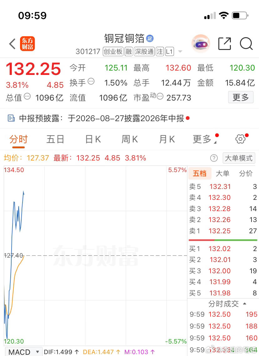 301217（铜冠铜箔）逢低关注，个人观点，仅供参考 