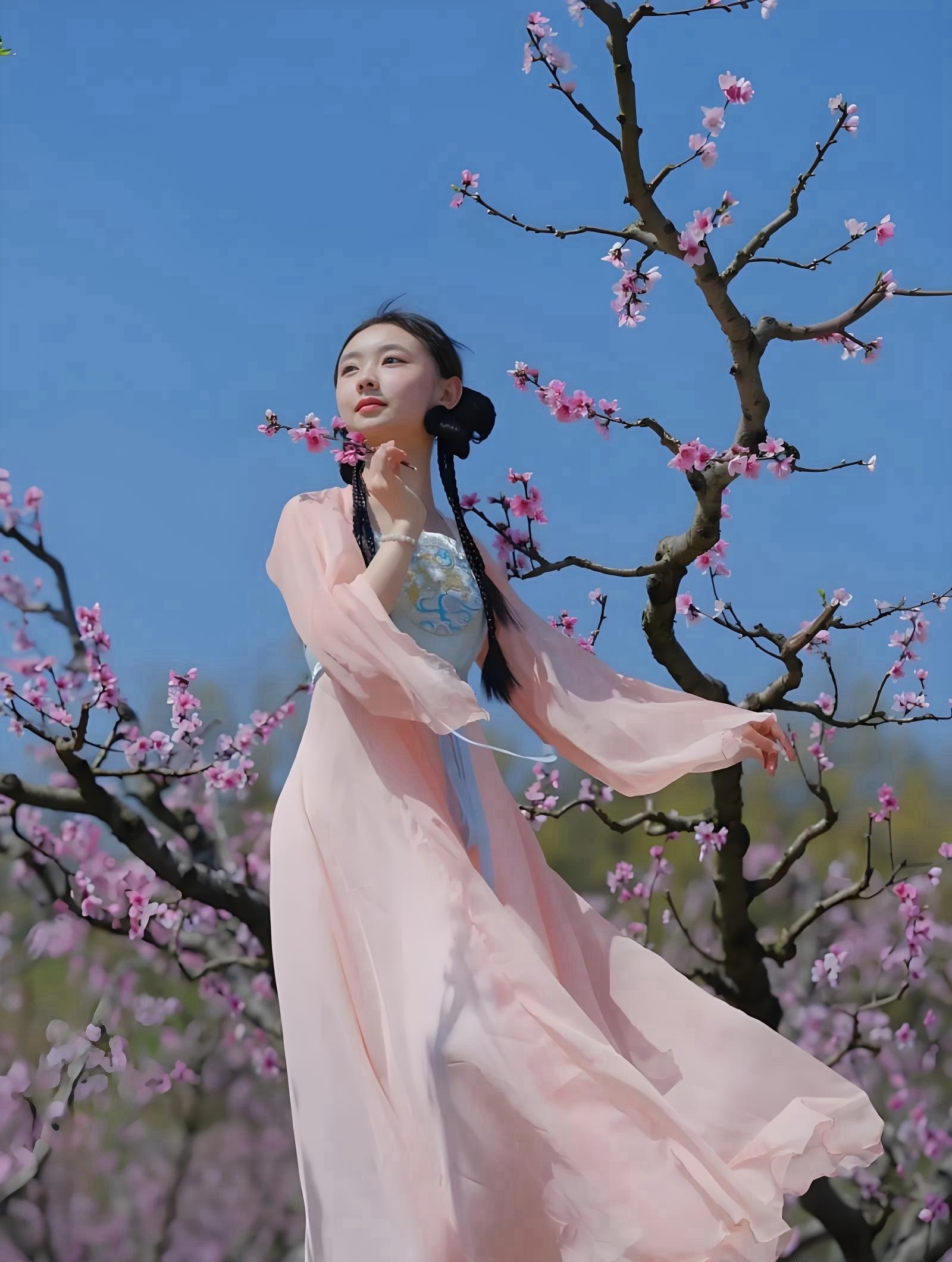 早上好，故乡的桃花都开了。 