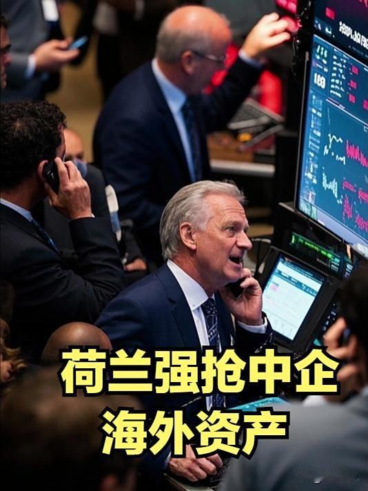 中国要给荷兰立规矩！

一个地不到5万平方公里、人口不到2000万的蕞尔小国，却