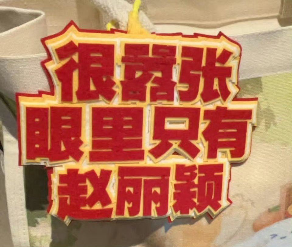 很嚣张，我的眼里只有赵丽颖