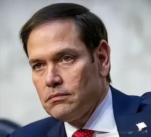 祖国统一路径，远比你想象的更高级、更稳、更快
 
说句很多人不敢相信的实话：
两