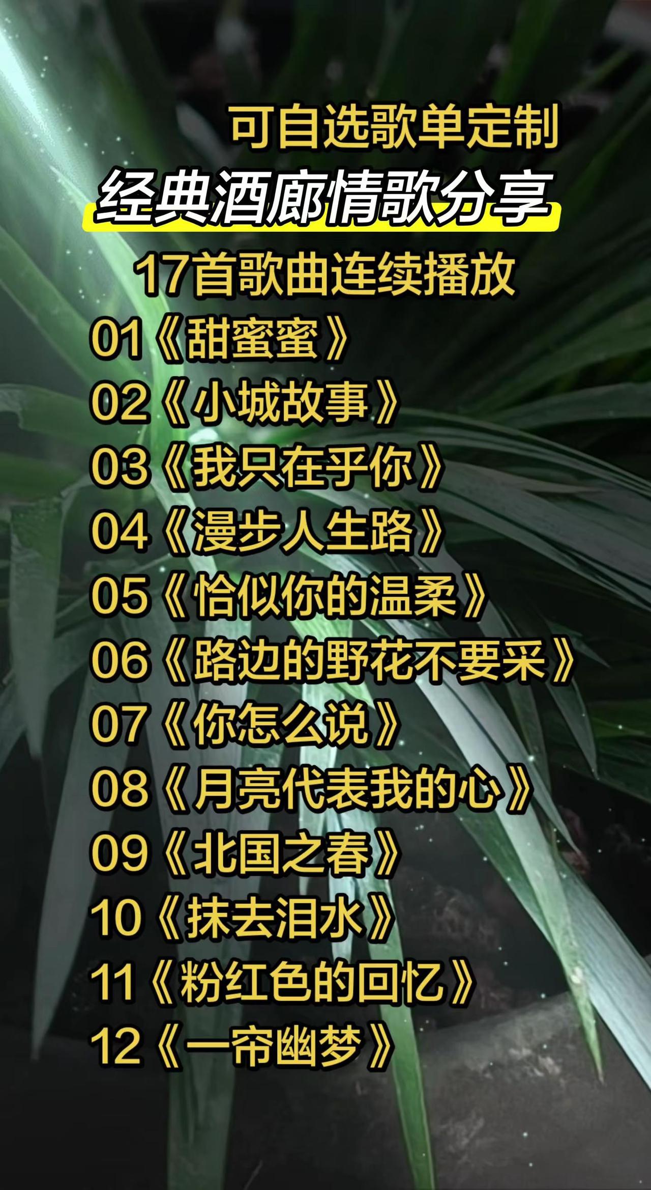 01《甜蜜蜜》02《小城故事》03《我只在乎你》04《漫步人生路》05《恰似你的