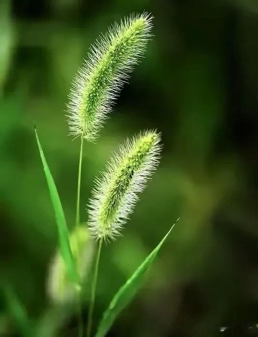 许姥姥有多爱好好（姚策小名）？
即便是得知不是自己的亲外孙，
依然隔三差五去医院
