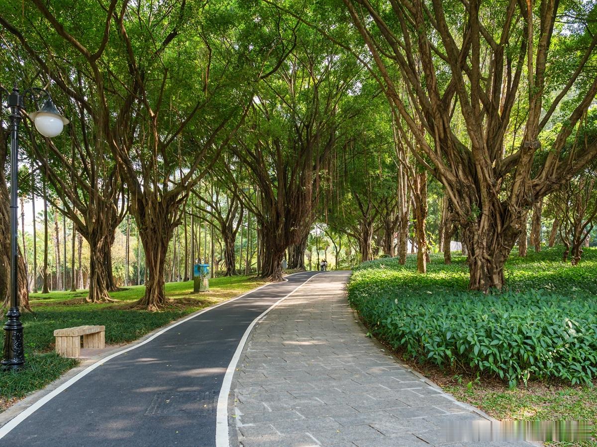 投资人眼中的“团队足够靠谱”主要从哪些方面来判断呢？不仅具备专业能力，更拥有共识