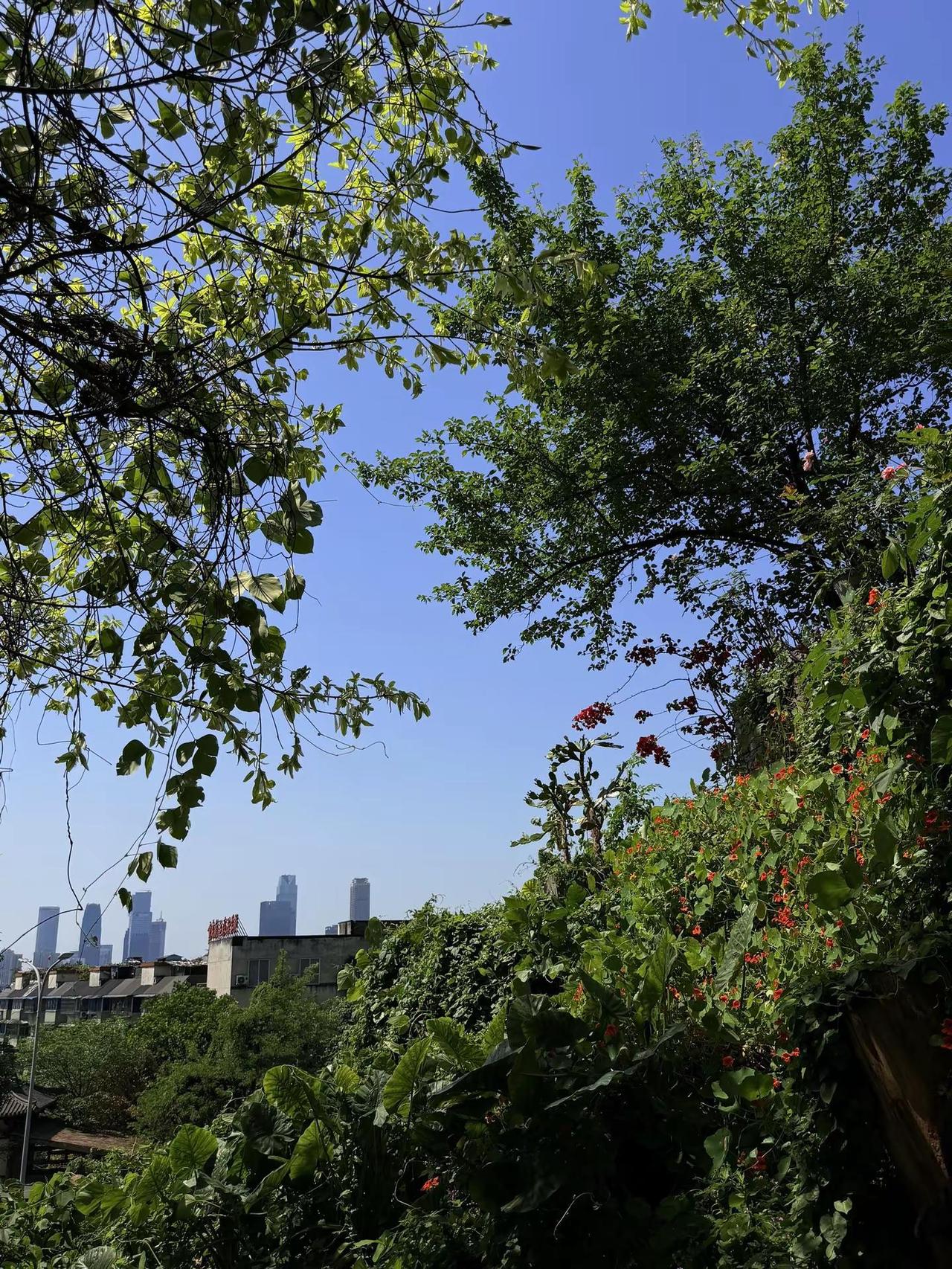 我为你翻山越岭 夏日气息 出游穿搭