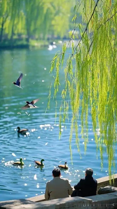 《日晚行南旺湖堤即事仲春》
——明·饶相
鲁北湖光水接天，
长堤百里断还连。
夹