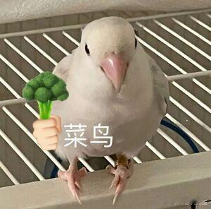 25岁做了管理层后性情大变确实，感觉很多东西就无所谓了已经看淡摊手.jpg ​​