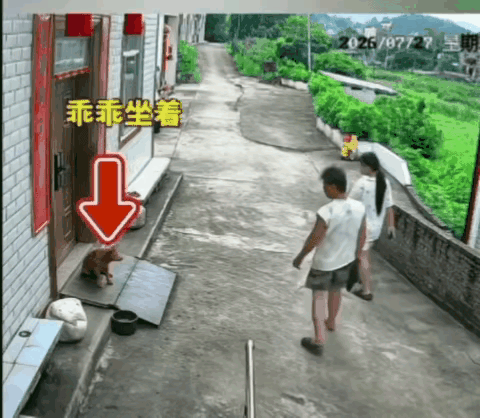 一物降一物[笑哭][笑哭]