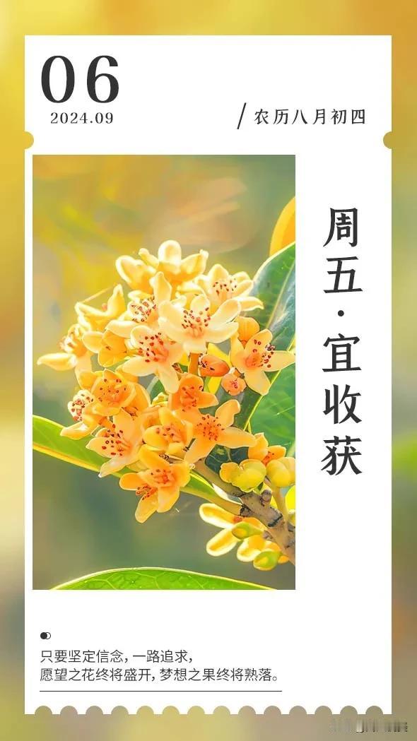 心若阳光，生活才能斑斓；
人若简单，人生才能清澈。
学会清零，享受当下，
才是最