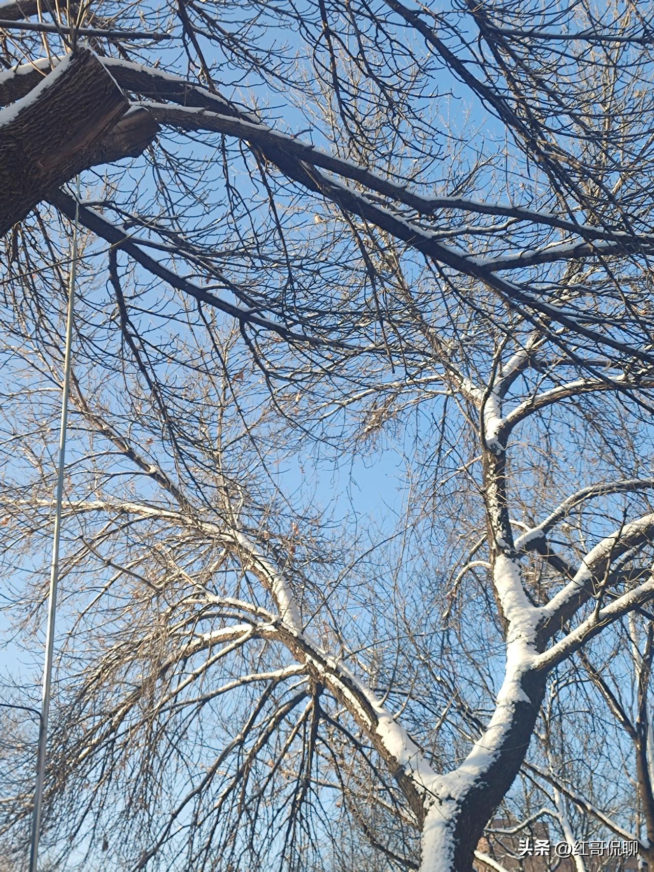 方式方法的区别是什么？
一句话分清：
方式 = 怎么做的形式、样式
方法 = 解