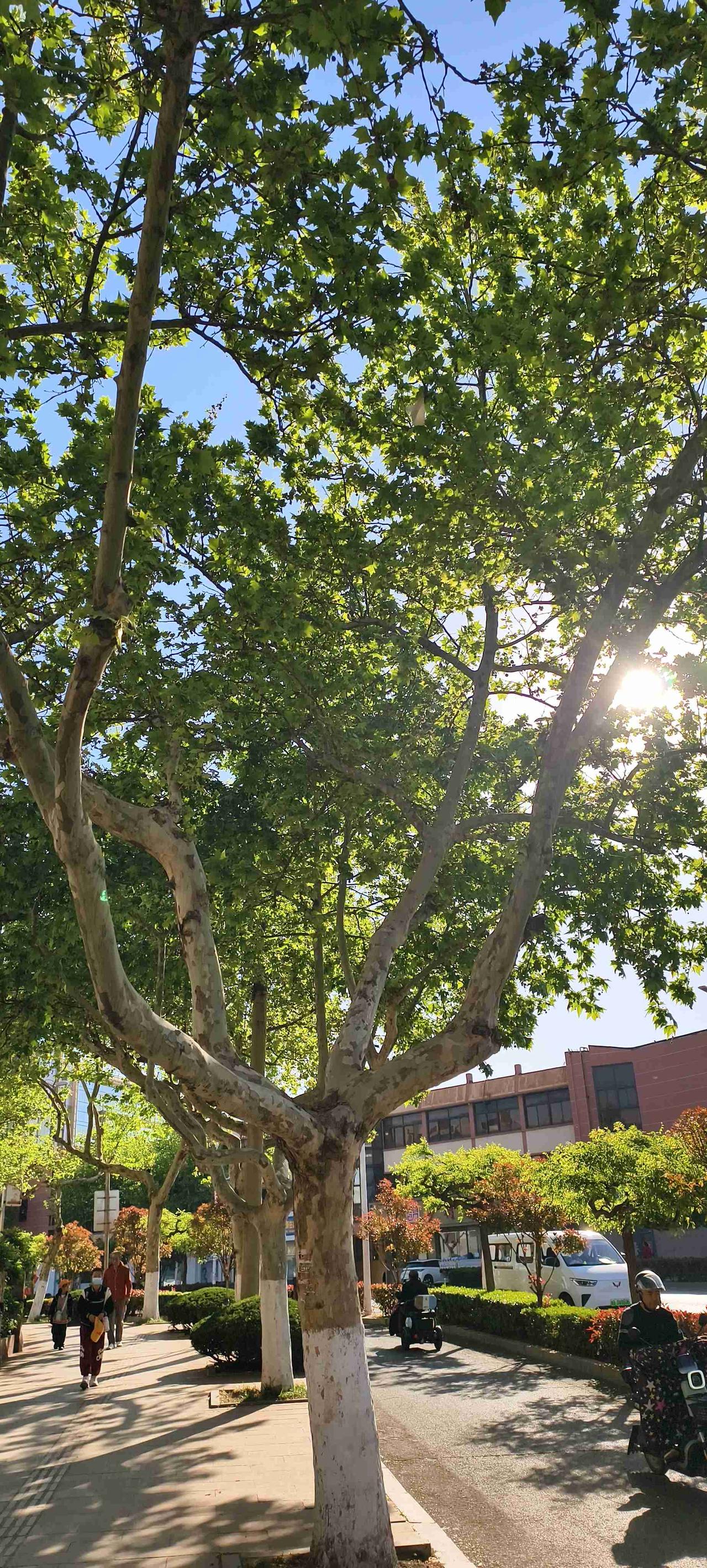 我的今日状态：😁轻松愉快
我这里的天气：☀️晴天
