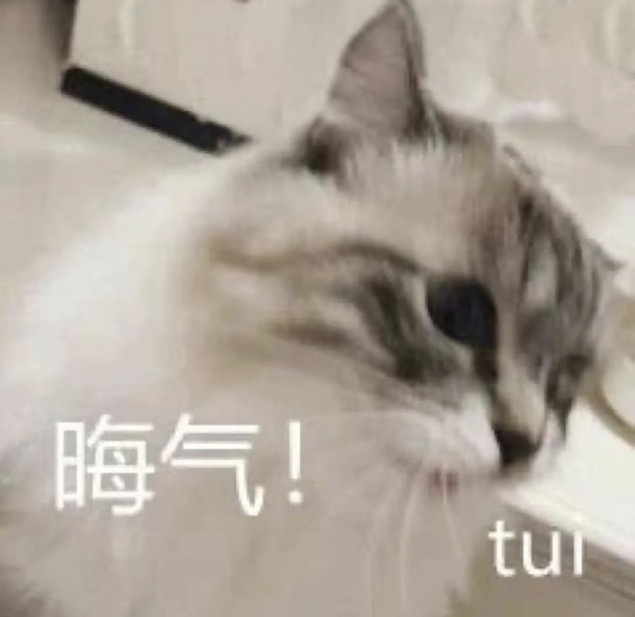 花米的时候不见人，要线下人头的时候看不到，就会挑刺满足你们那该丝的控制欲，ndz