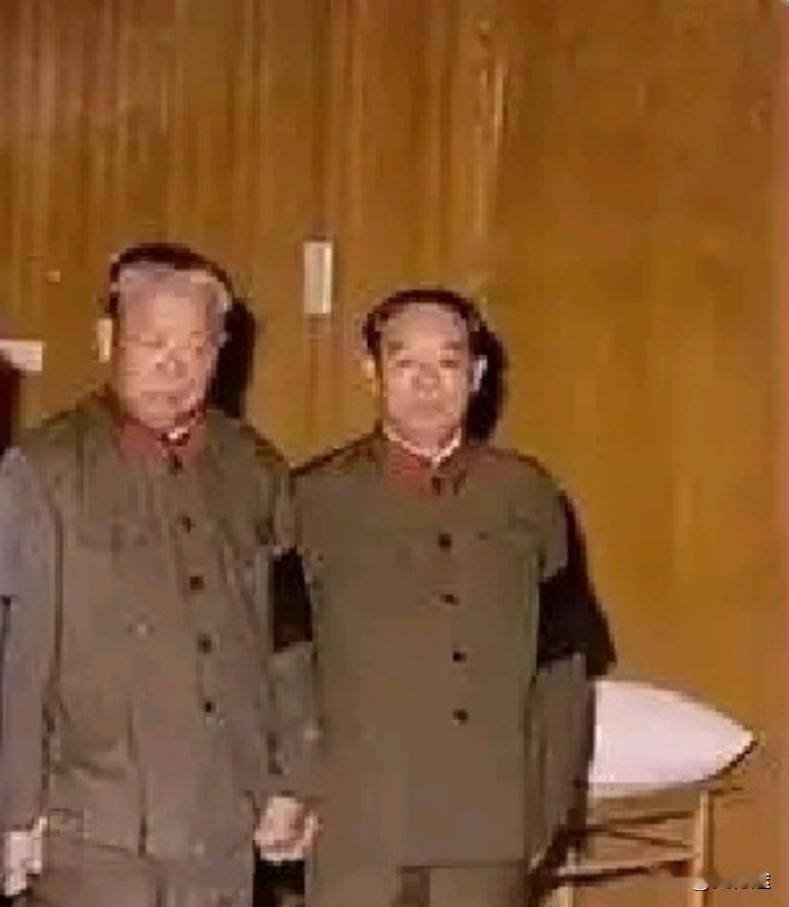 在为毛主席守灵期间，两位老将军手牵着手，相互勉励、相互安慰，决心化悲痛为力量，将