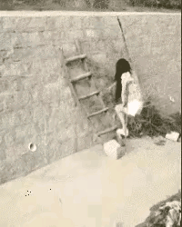 不知多少次了！
