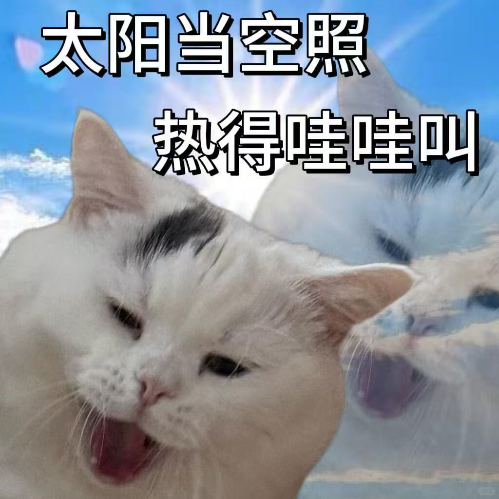 新疆 祛湿气 高温高湿双重考验下，小米强劲风空调实力出圈。冷风避开直吹痛点，体感