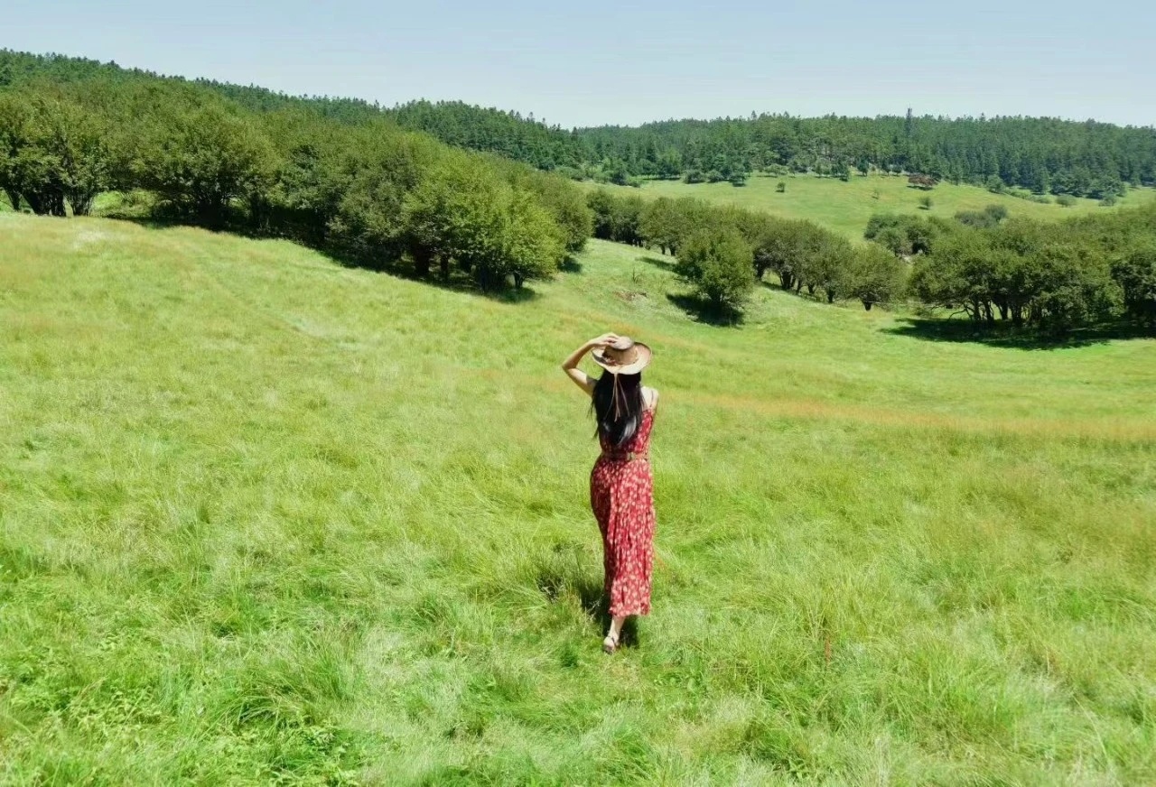 飞猪免单给我的五一假期回了口血第一次见旅游反向回血的大家本来对五一出行的预期就是
