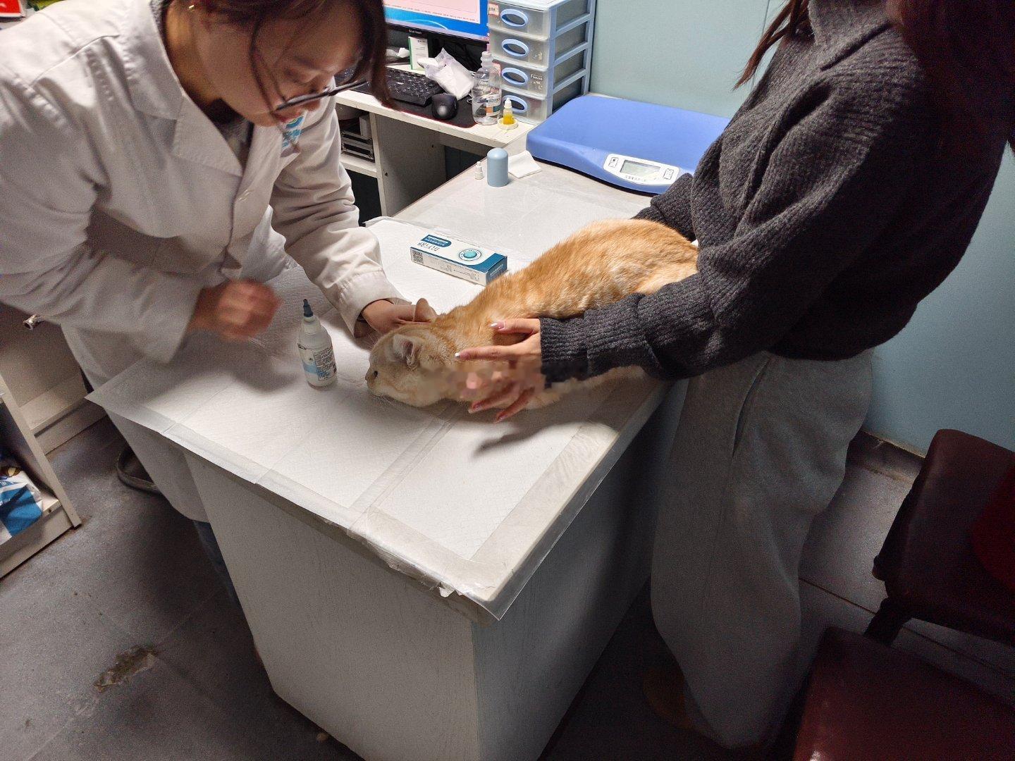 又来医院了 布丁酱 ​​​