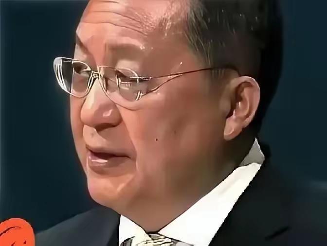 朝鲜代表李哲民在联合国大会上的那句话，让整个会场静得吓人。他直接就问日本：一个二