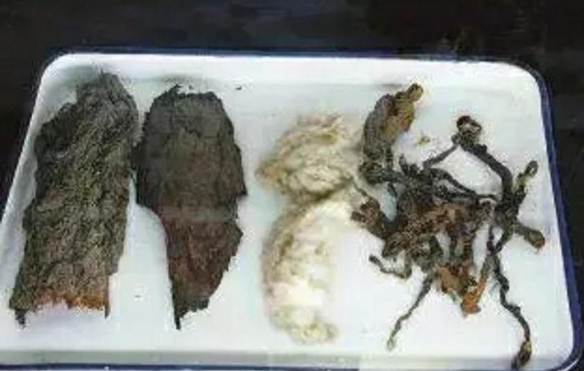 如果跟一位著名人物吃饭，我会选择杨靖宇，不管吃什么都行，只要看着他吃的饱饱的。