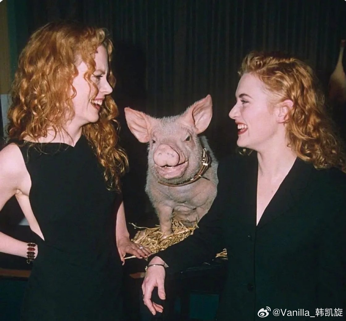 1996年奥斯卡，妮可·基德曼和凯特·温丝莱特。还有《小猪宝贝》里的小猪～ 
