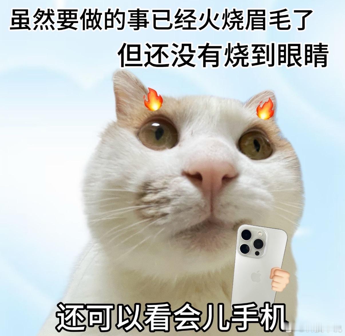 有了iPhone还用买大疆吗真没必要纠结二选一，两者根本无法互相替代。iPhon