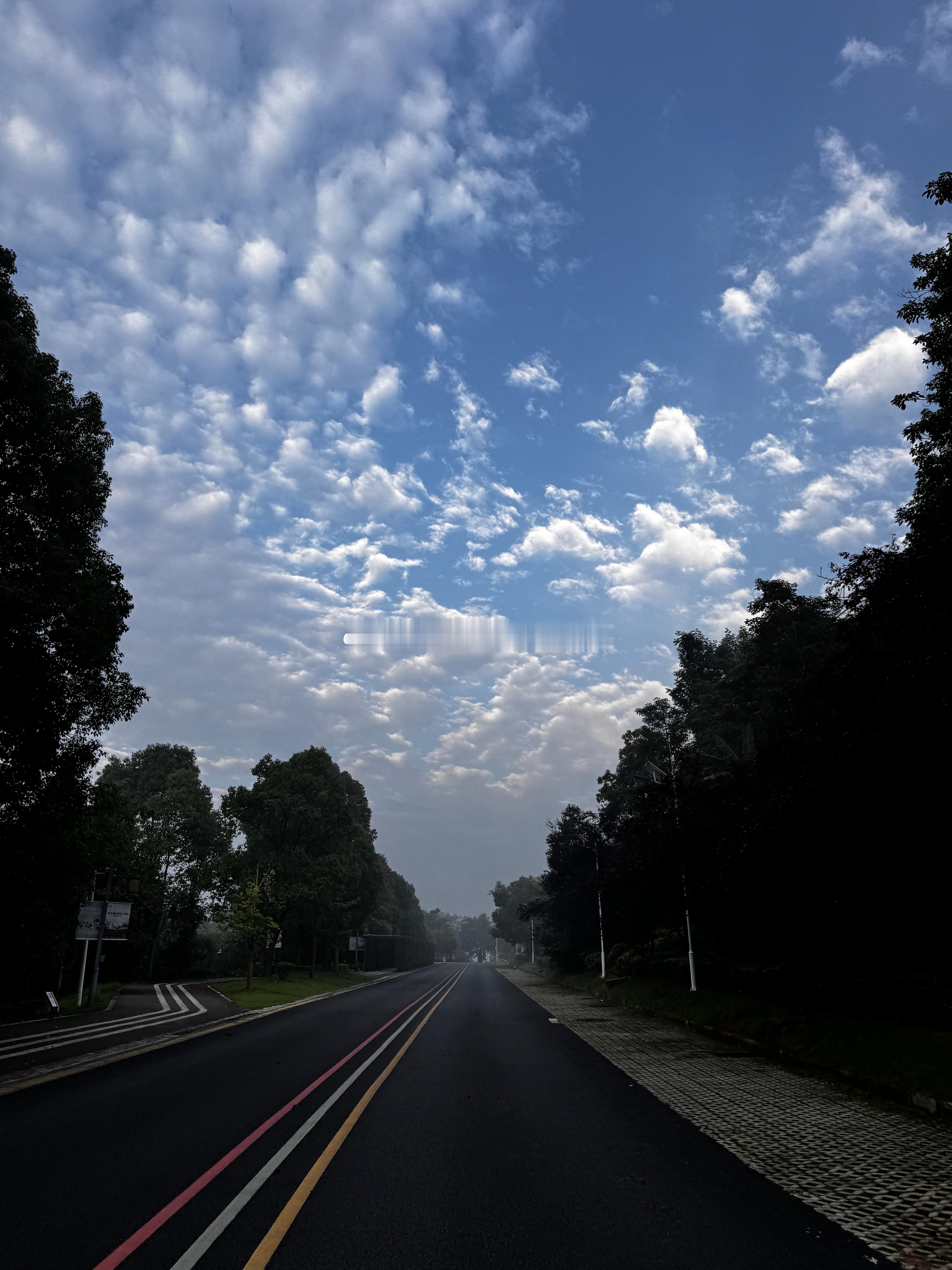 运动打卡  晨跑打卡                   慢跑9km出汗太多了为