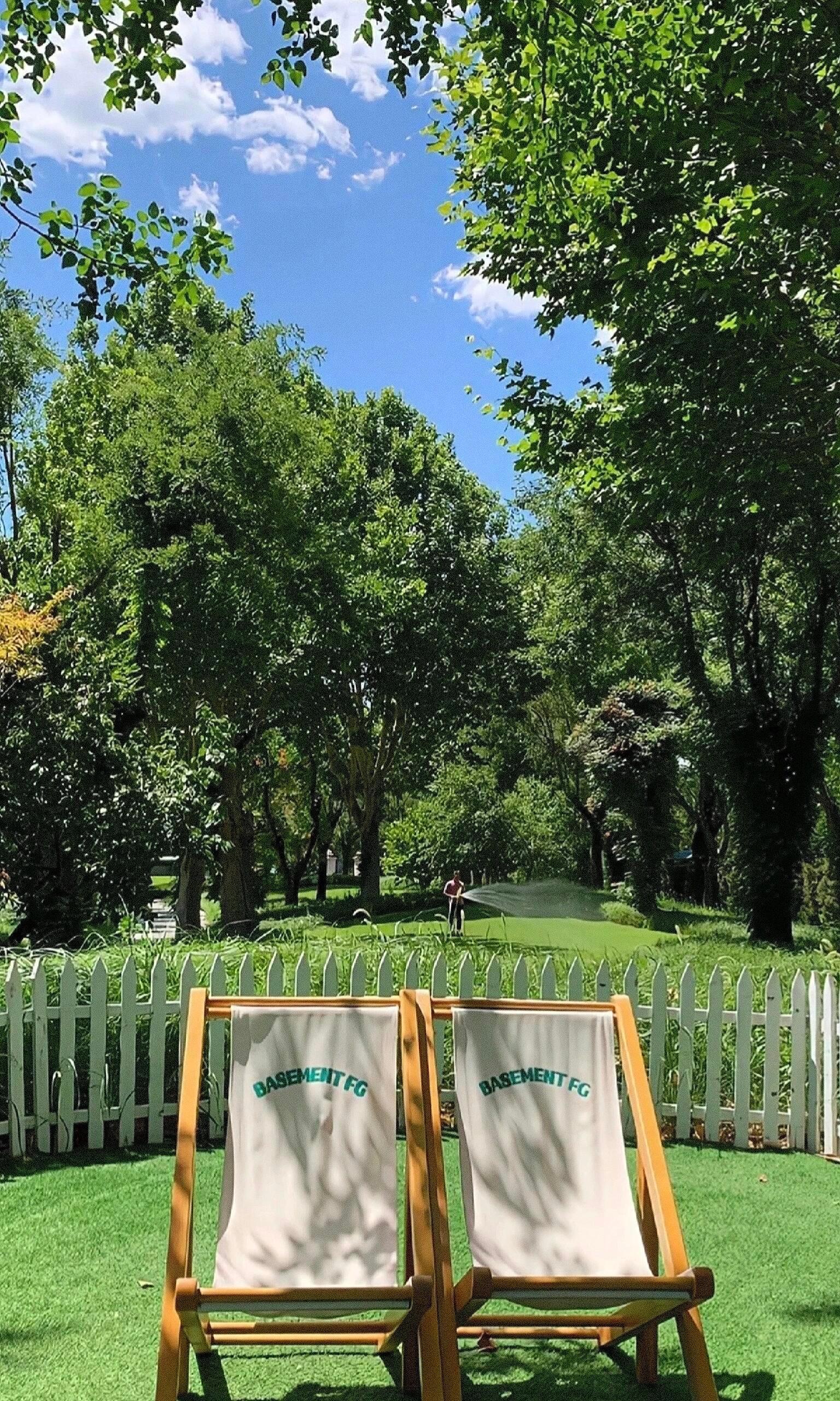 壁纸｜清凉一夏绿色｜壁纸｜绿色护眼｜夏天 
