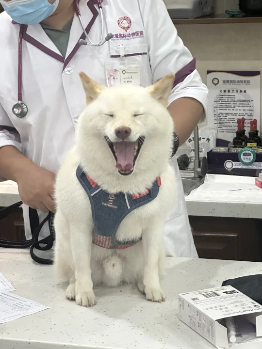 不！想！去！医！院！