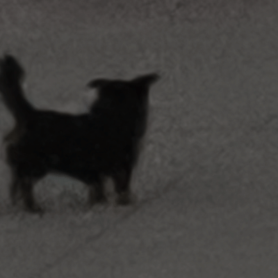 双高胎 偶遇高越 