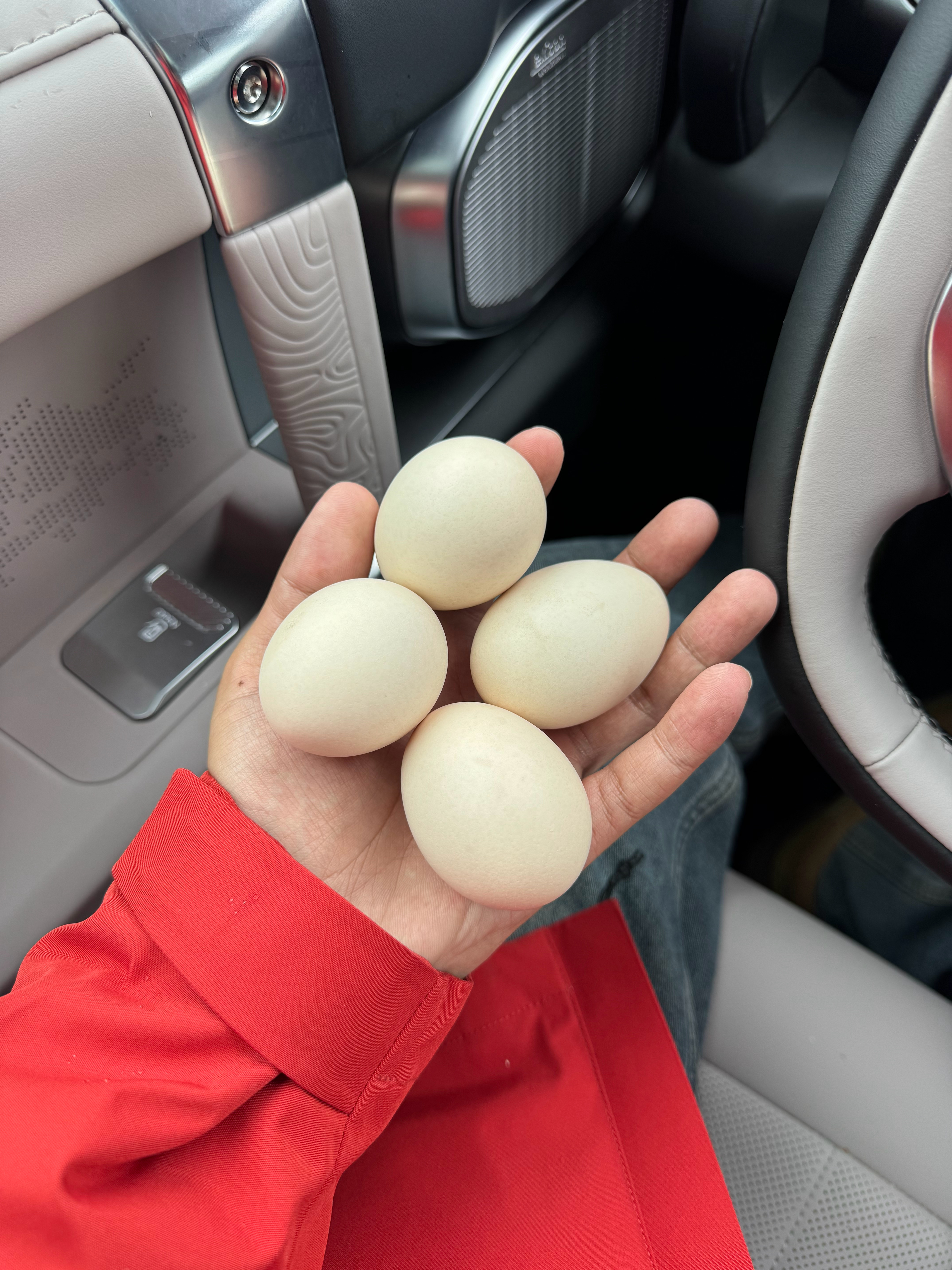 兄弟们听我没吃早饭，都给我带了鸡蛋！太感动了[泪][捂嘴哭][心] ​​​