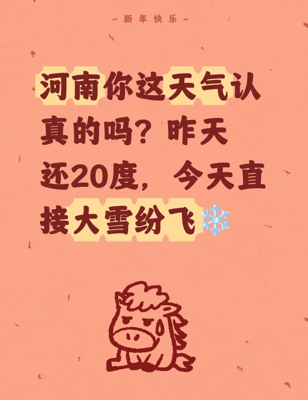 河南你这天气认真的吗？昨天还20度，今天直接大雪纷飞❄️河南天气