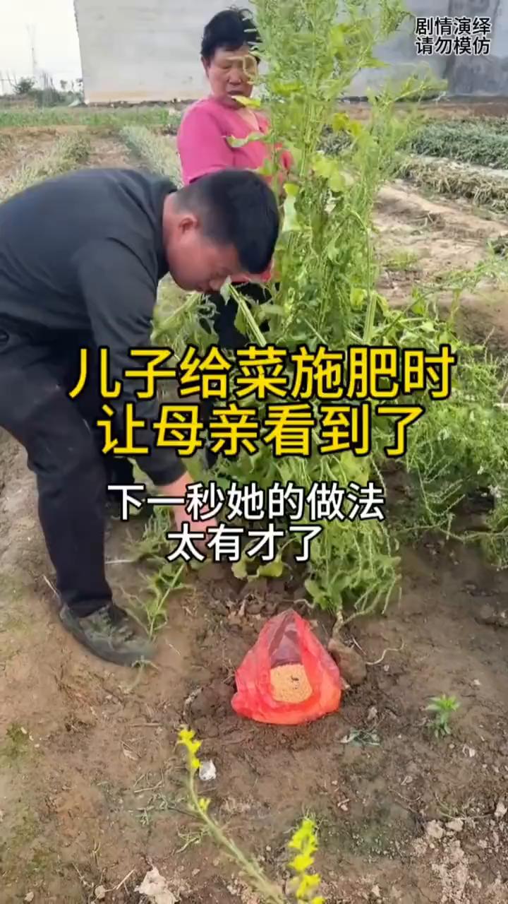 儿子给菜施肥时让母亲看到了，下一秒她的做法太有才了。
母子两个在菜地干活，只见儿