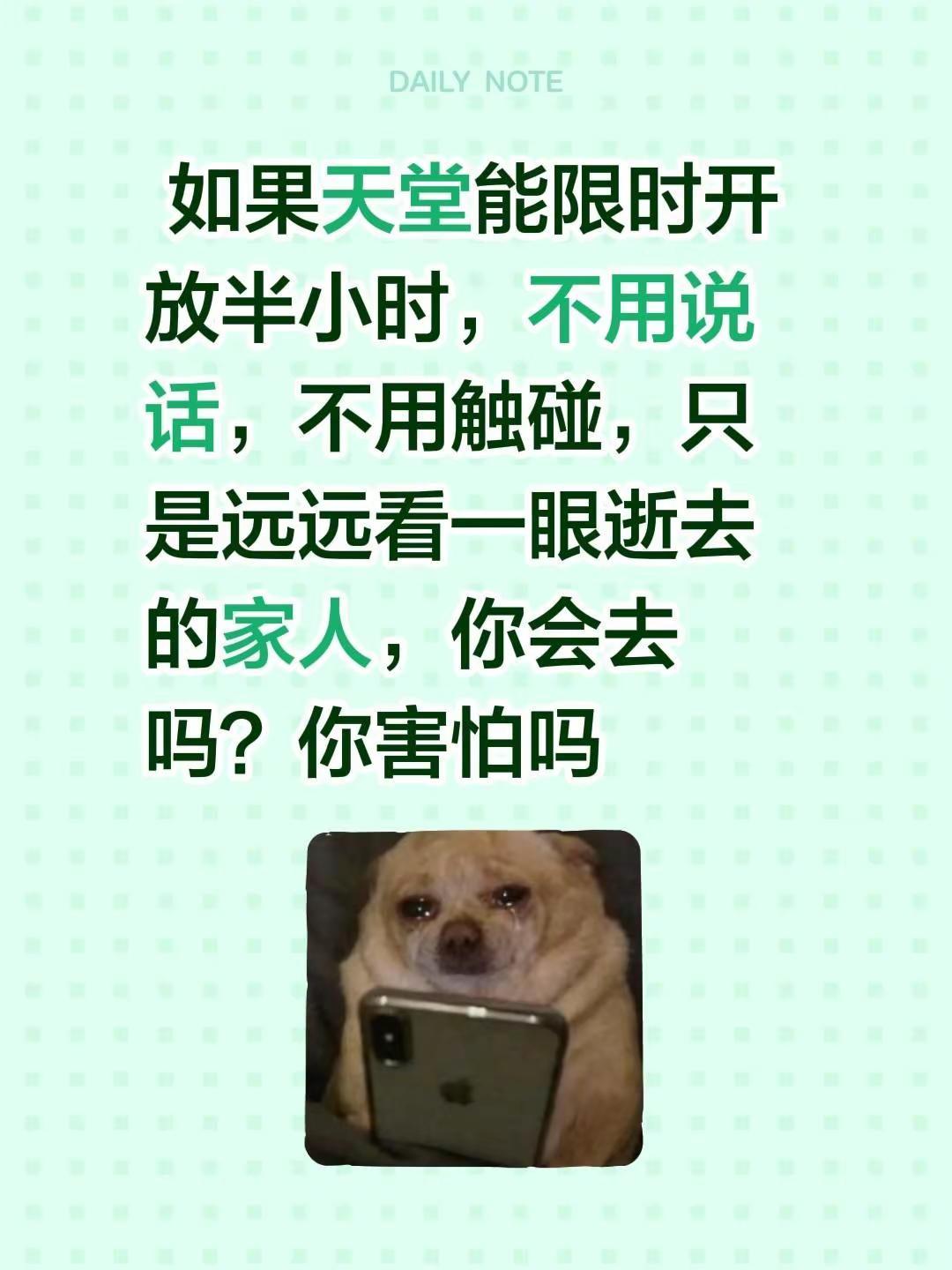  如果天堂能限时开放半小时，不用说话，不用触碰，只是远远看一眼逝去的家人，你会去