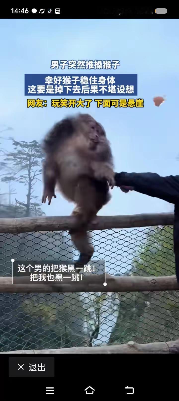 玩损了！事情发生在四川峨眉山景区，悬崖边上的一只猴子🐒在专心吃食物，旁边一男子