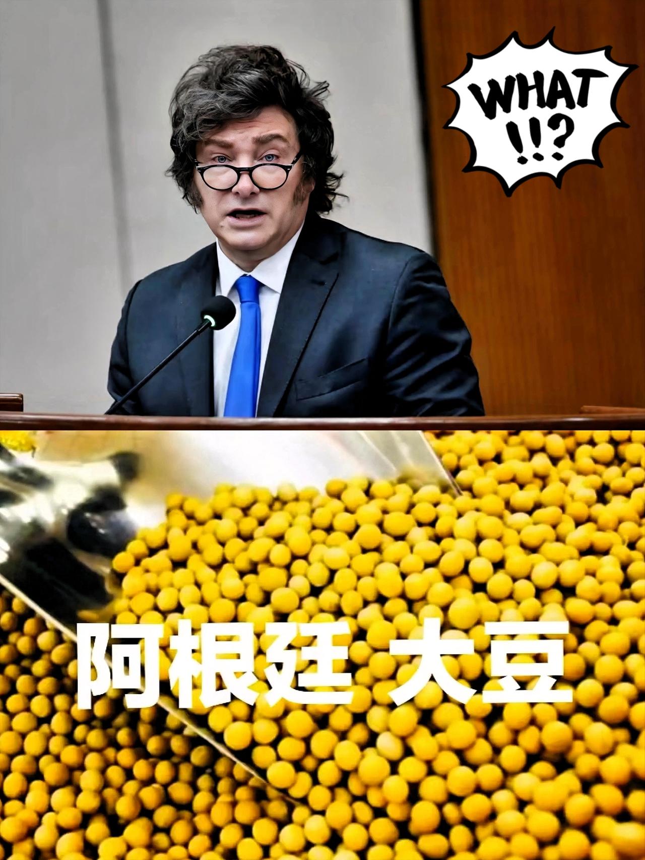 快讯！快讯！

9月23日，阿根廷当局大幅度降低大豆及其制品的出口税，此次降税幅