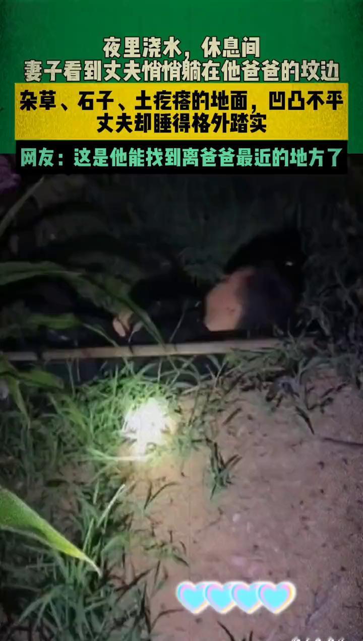 夜里浇水，休息间妻子看到丈夫悄悄躺在他爸爸的坟边。
杂草、石子、土疙瘩的地面，凹
