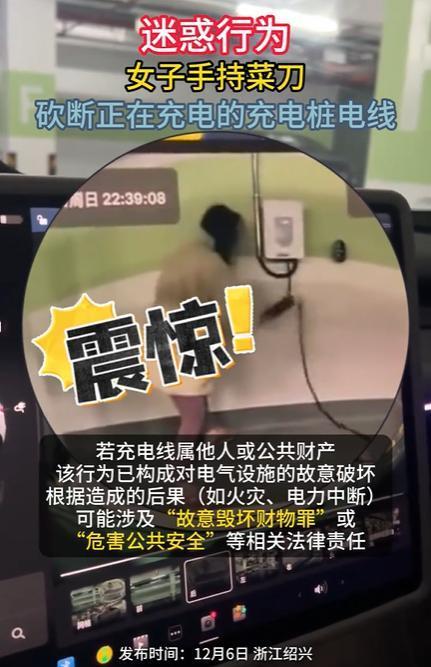 女子持菜刀砍断充电中的充电桩电线，这一刻我特别想说的是，无知者无所畏在这一刻具象