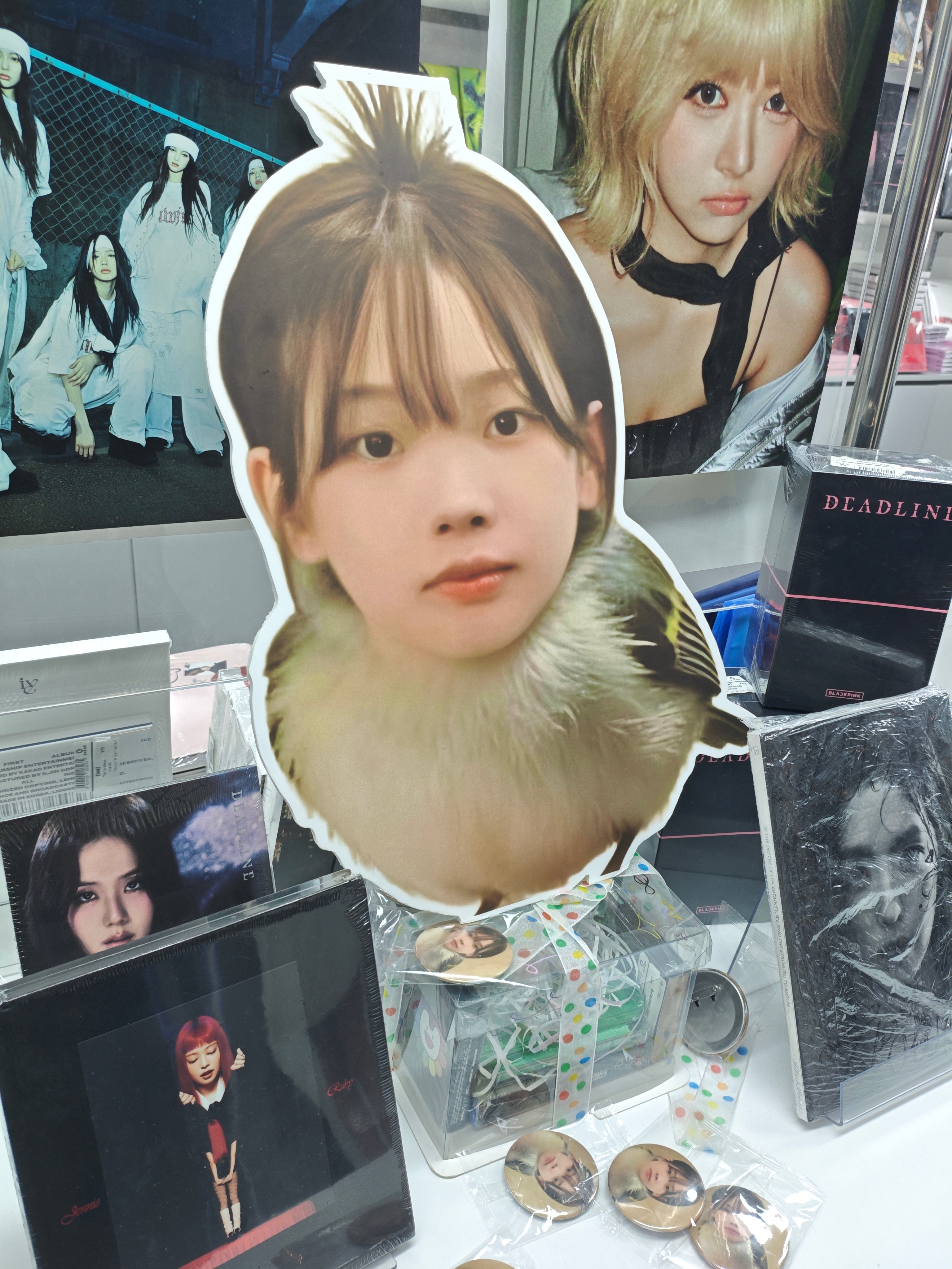 一进店就是这东西我真要笑死了 