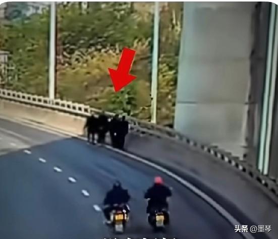 6人违规在禁止的人行道上行走，天降横祸，宜宾18岁男子张某酒驾摩托车，致行人一死