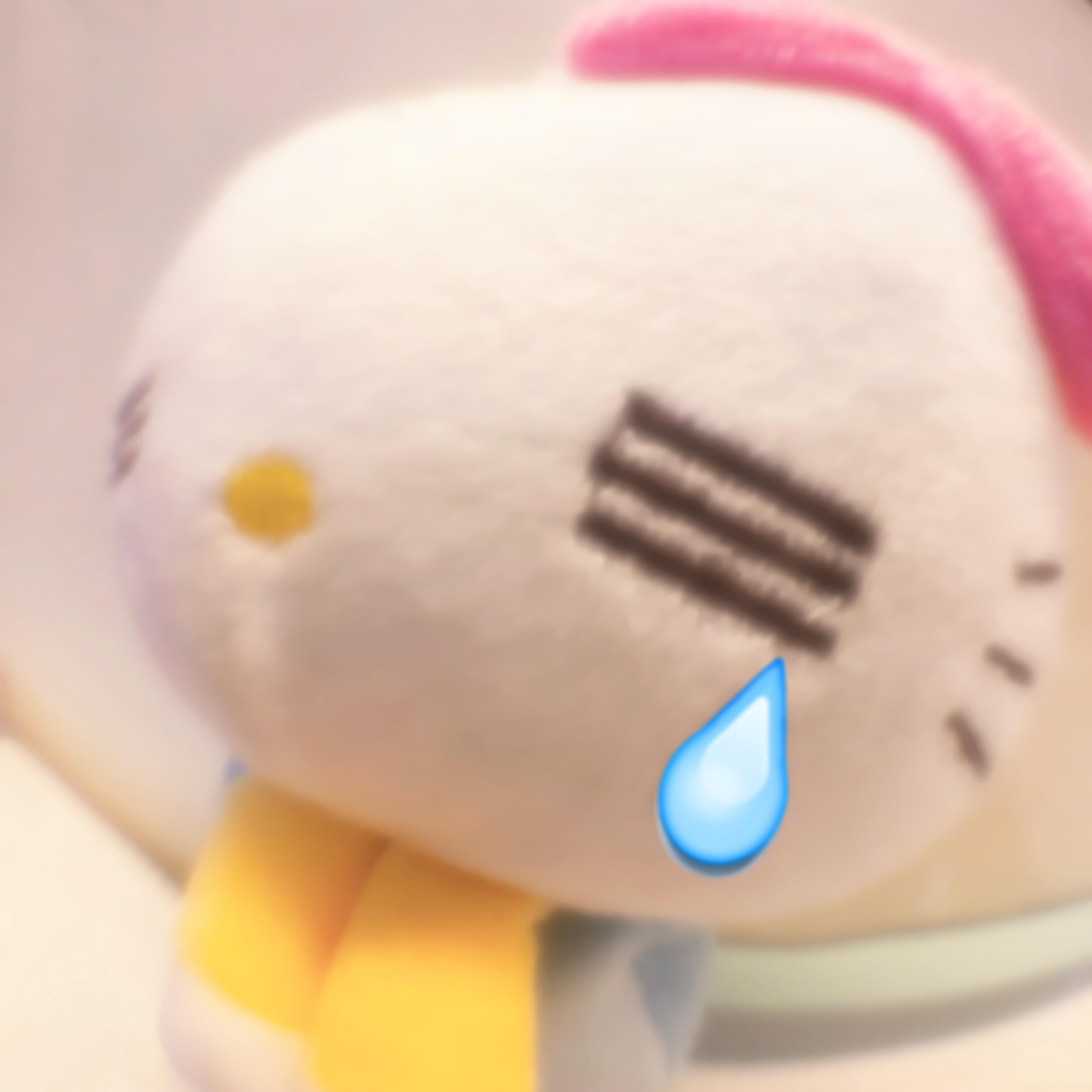 ‧₊˚.﹢萌え物時間 ♡₊⁺ 