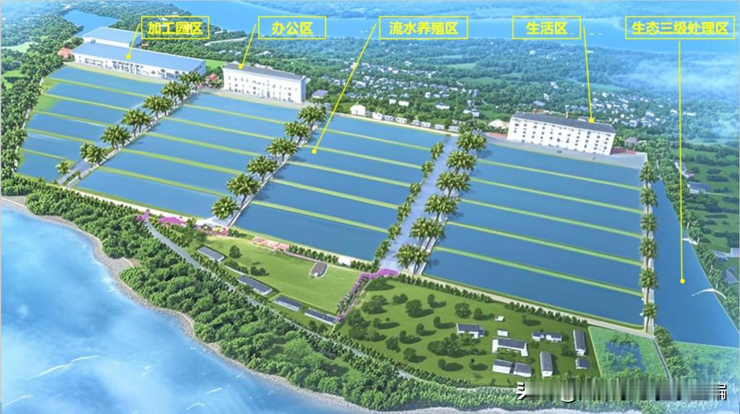 4月13日上午，乐山市沙湾区鲟鱼生态健康养殖及鱼子酱加工园区建设项目（一期）在沙