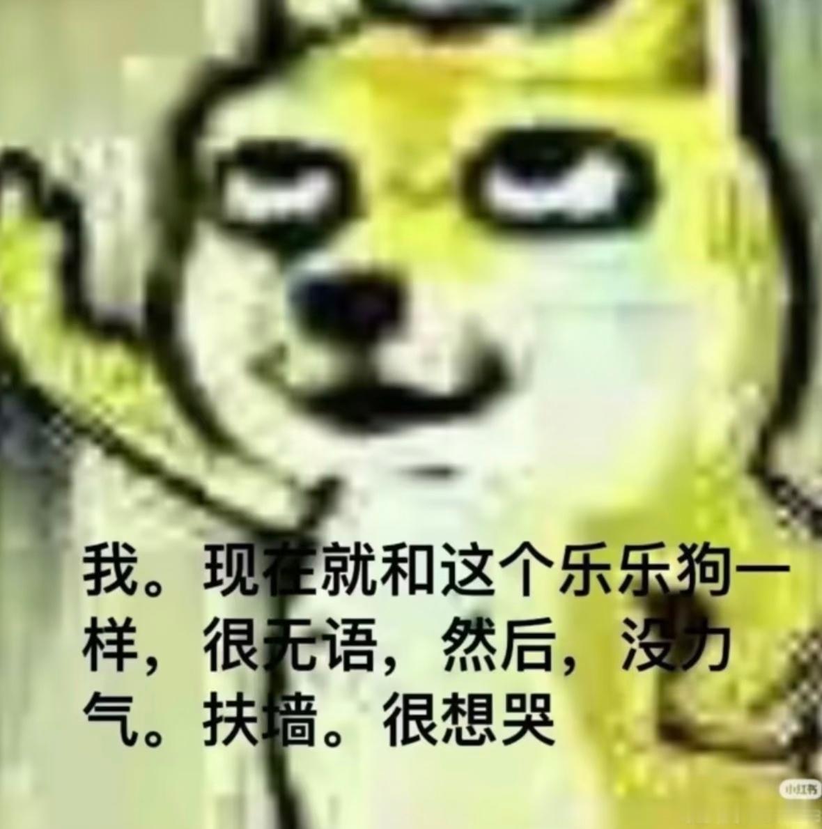 我爱播这个老糊糊还能有人带节奏 ​​​
